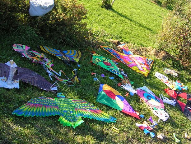pa150065_resize
